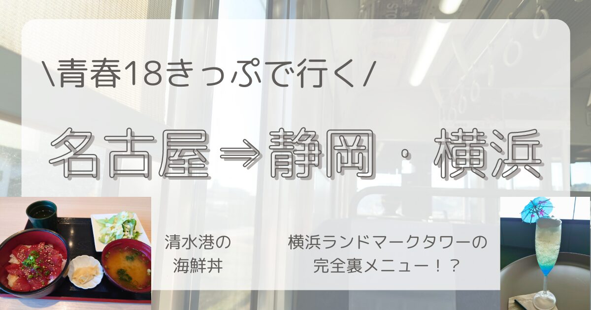 青春18きっぷで行く】名古屋⇒静岡・横浜